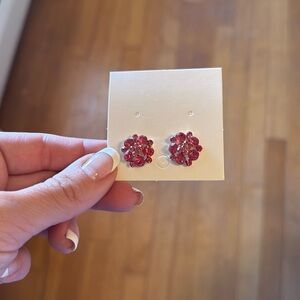 BRAND NEW earrings. Never worn.